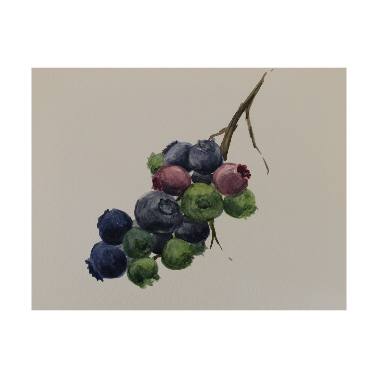 Artistic depiction of berries on a branch against a beige background
