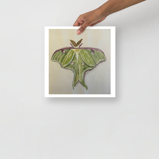 Product mockup of a watercolor painting print that depicts a green moth against a white background