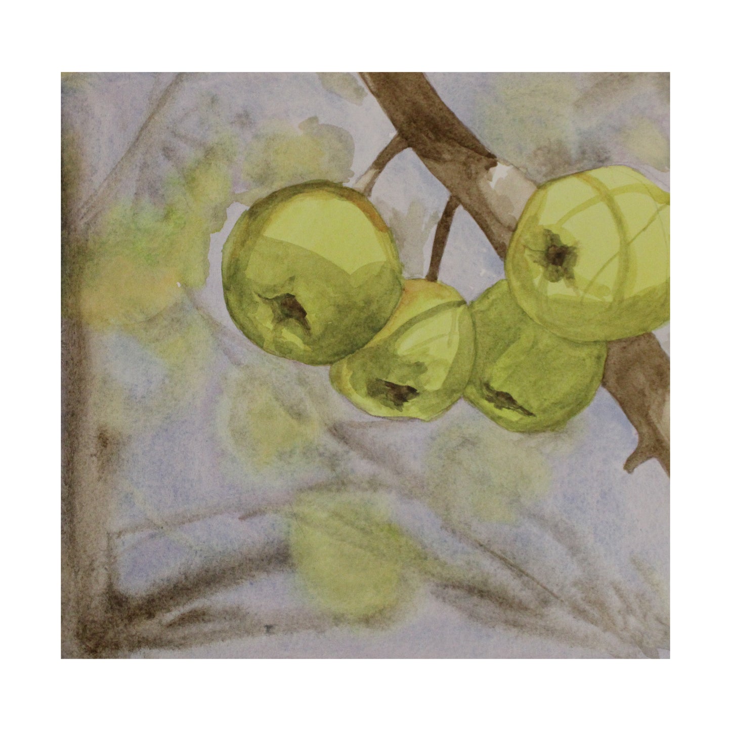 Artistic depiction of green apples on a branch with a watercolor background