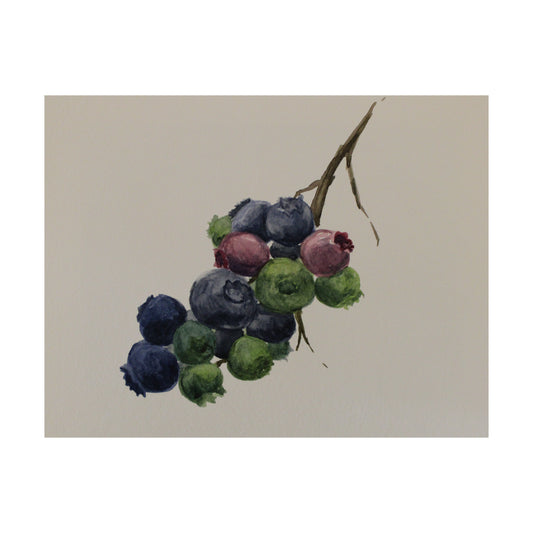 Artistic depiction of berries on a branch against a beige background