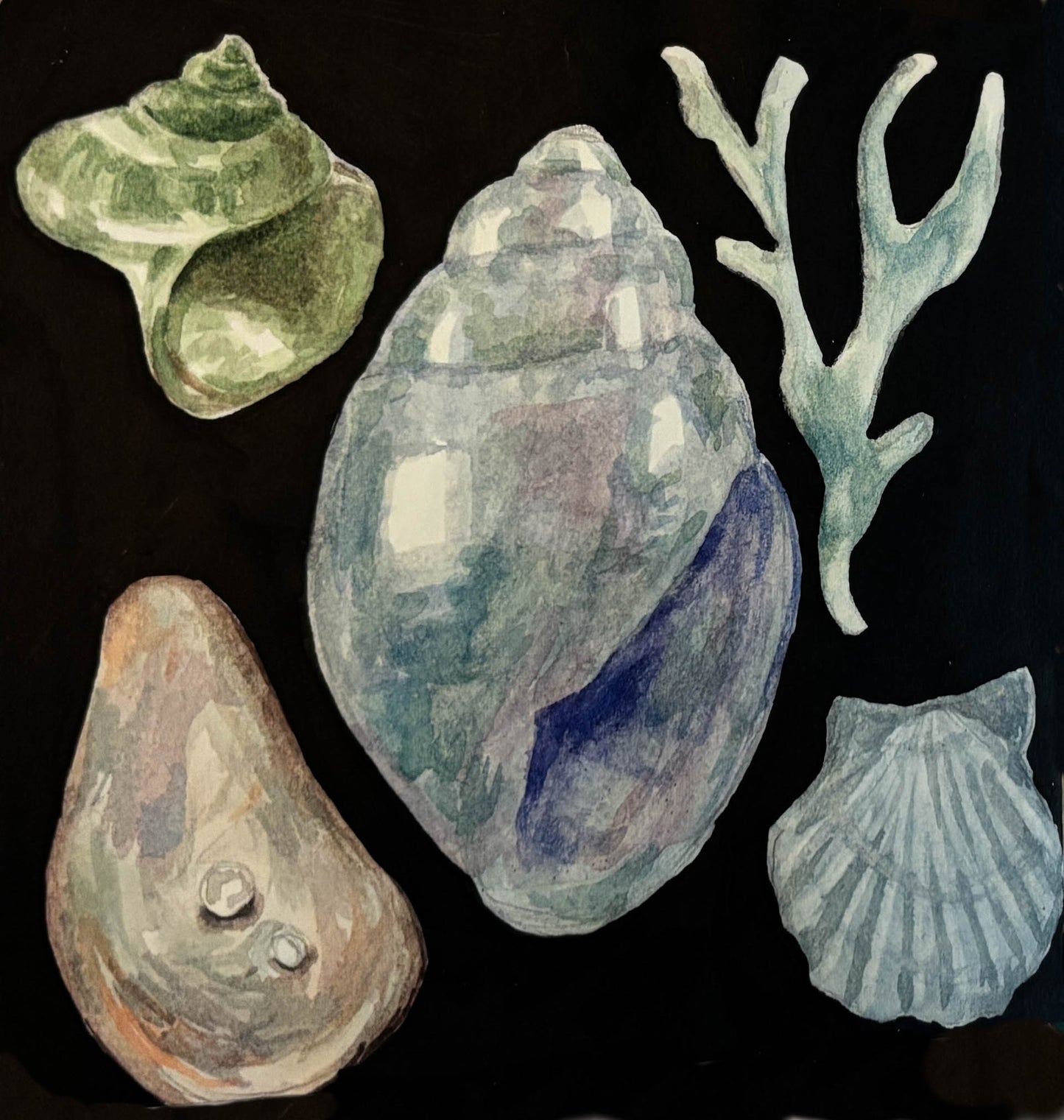 watercolor painting of various shells and seaweed on a black background