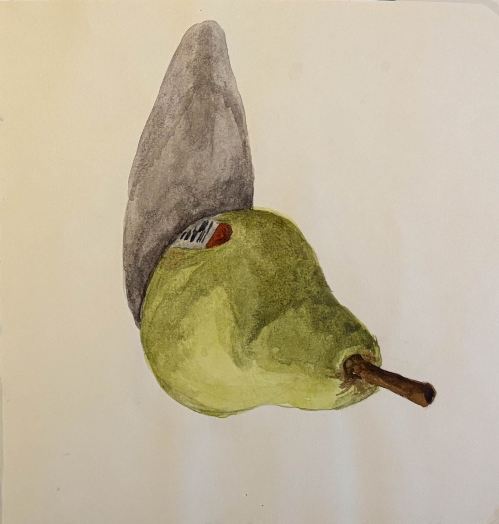 a watercolor print that depicts a sideways green pear against a white background 