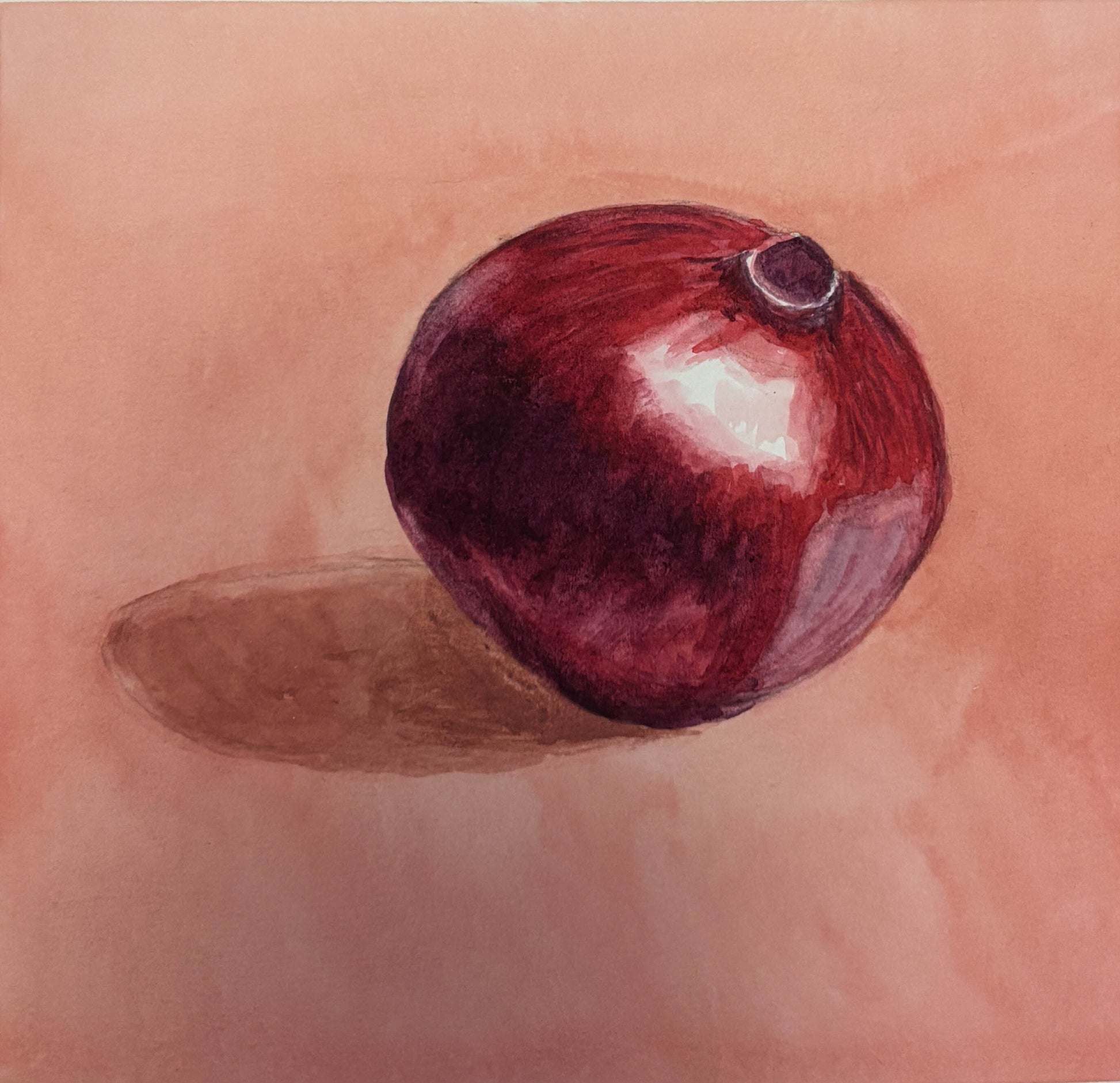 Red pomegranate on a pink background