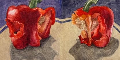 Two red bell peppers on a reflective surface with a watercolor background