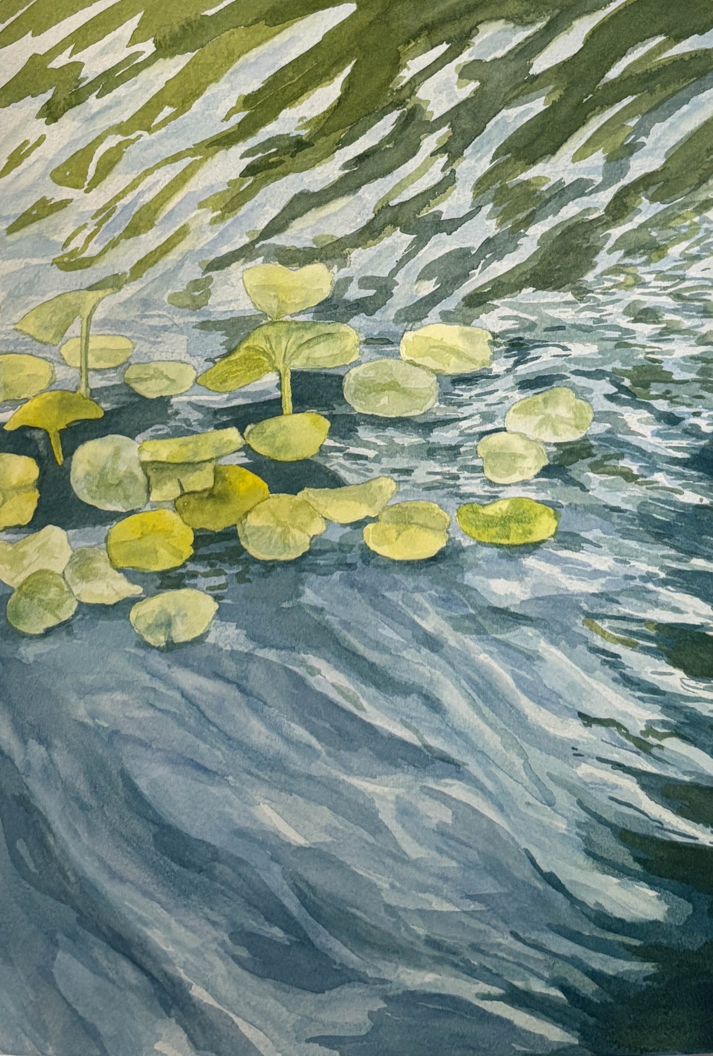 Artistic depiction of water lilies floating on water with a textured background