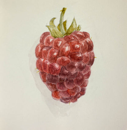 Watercolor painting of a red raspberry with a green stem against a white background.