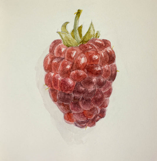 Watercolor painting of a red raspberry with a green stem against a white background.