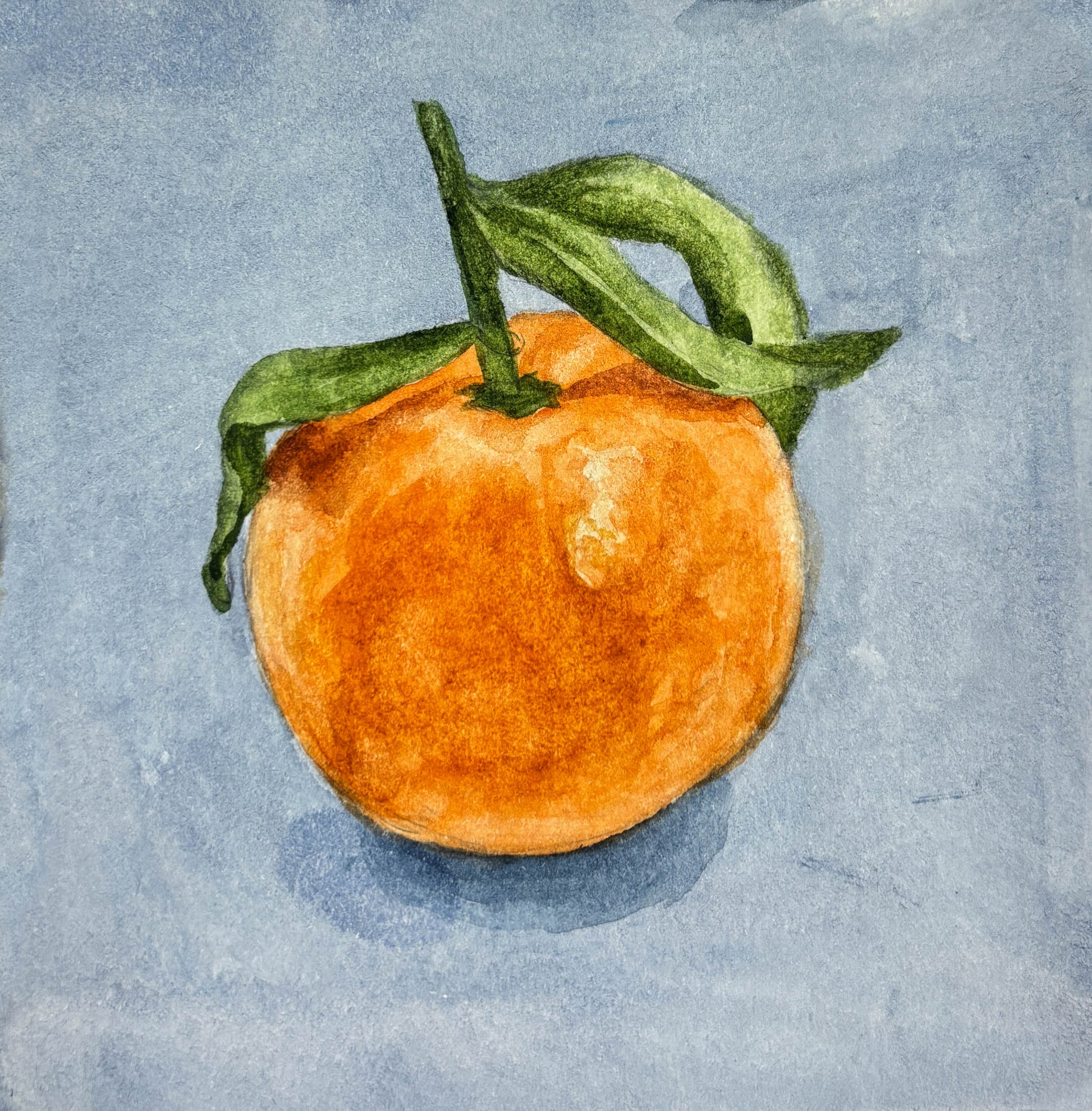 Watercolor painting of an orange with green leaves on a  blue background