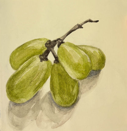 Illustration of green fruits on a branch with a beige background