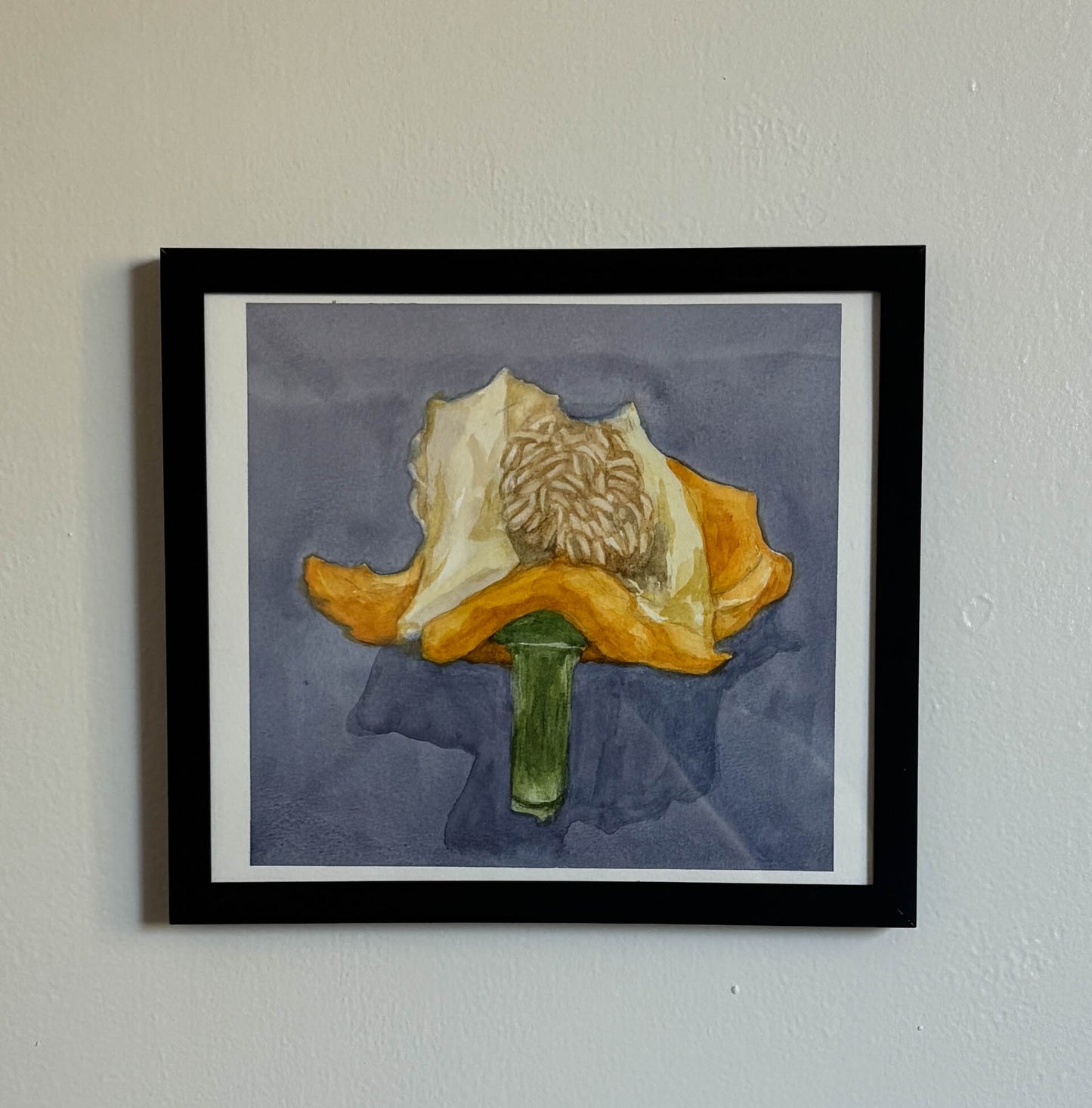 Eaten Bell Pepper