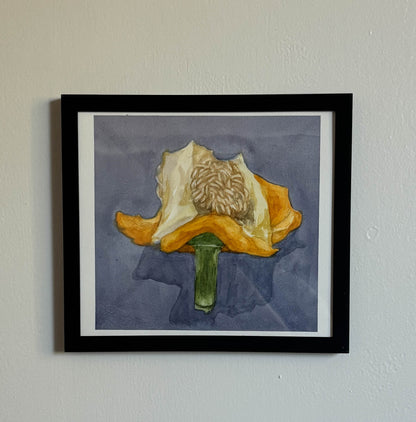 Eaten Bell Pepper