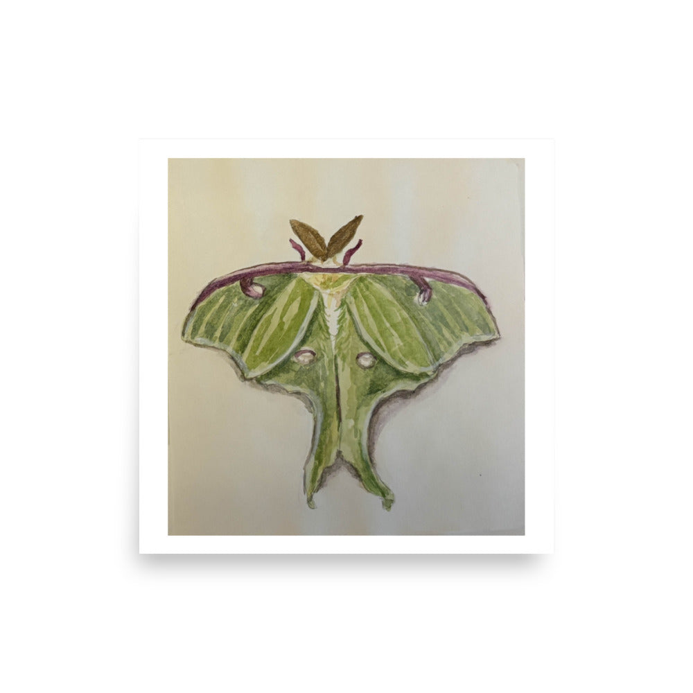 Product mockup of a watercolor painting print that depicts a green moth against a white background