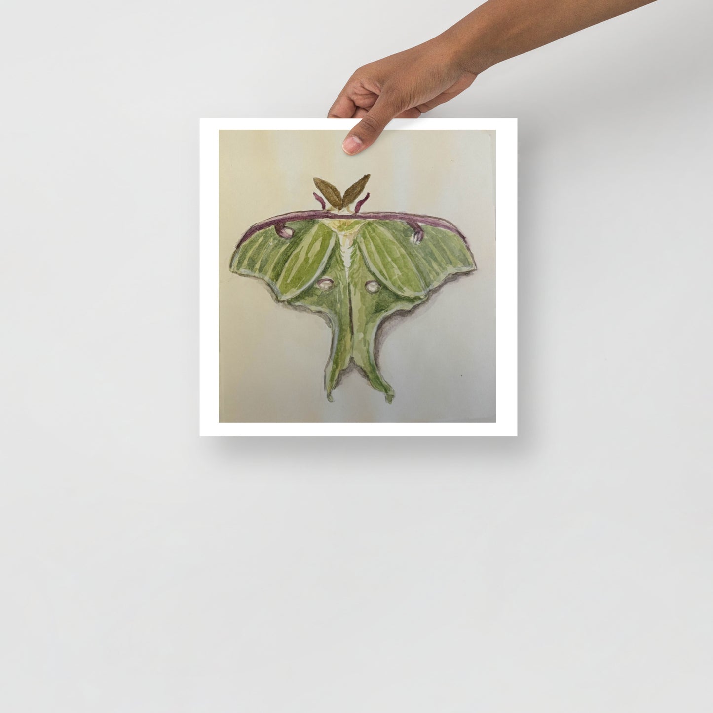 Product mockup of a watercolor painting print that depicts a green moth against a white background