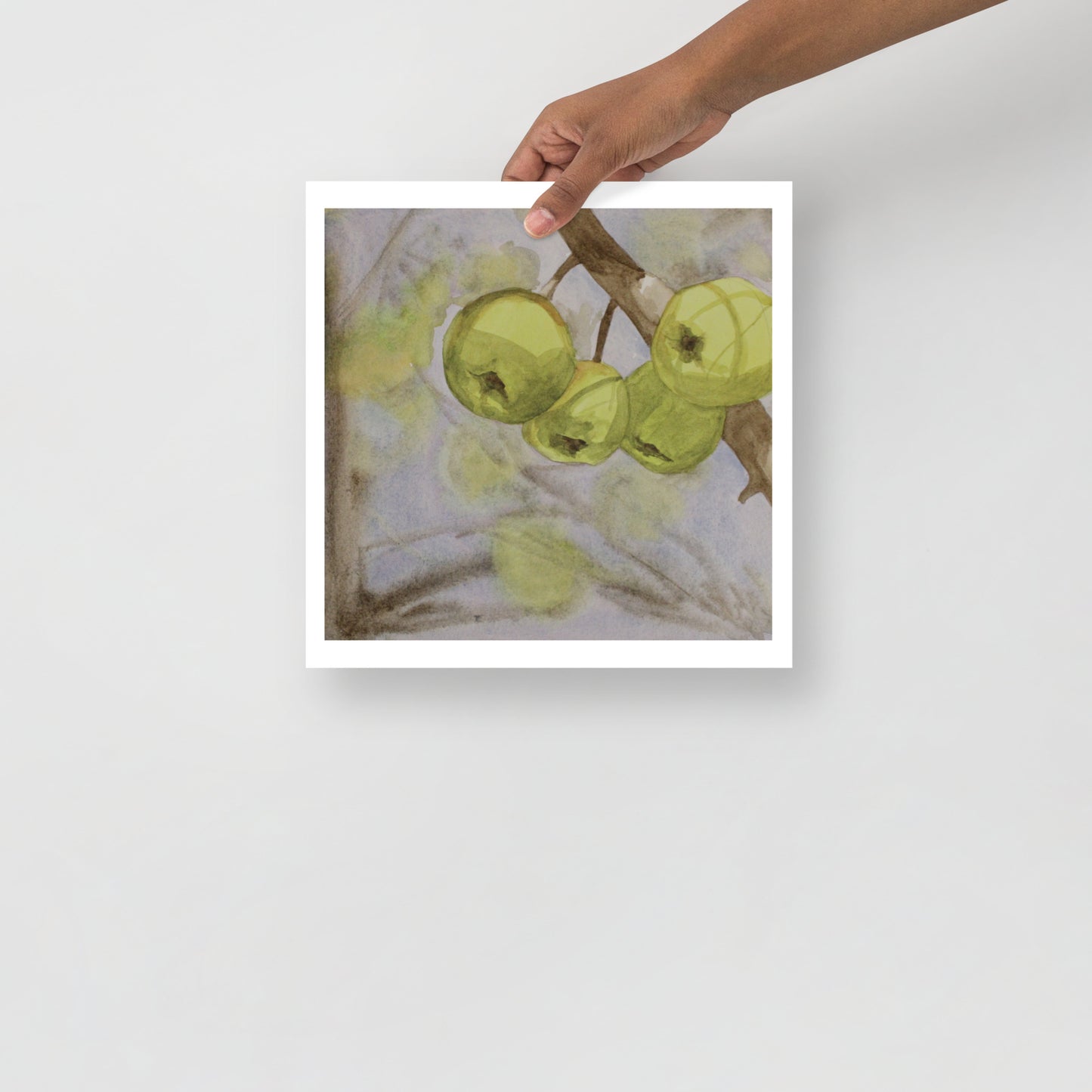print artwork of green apples on a branch held by a hand against a white background