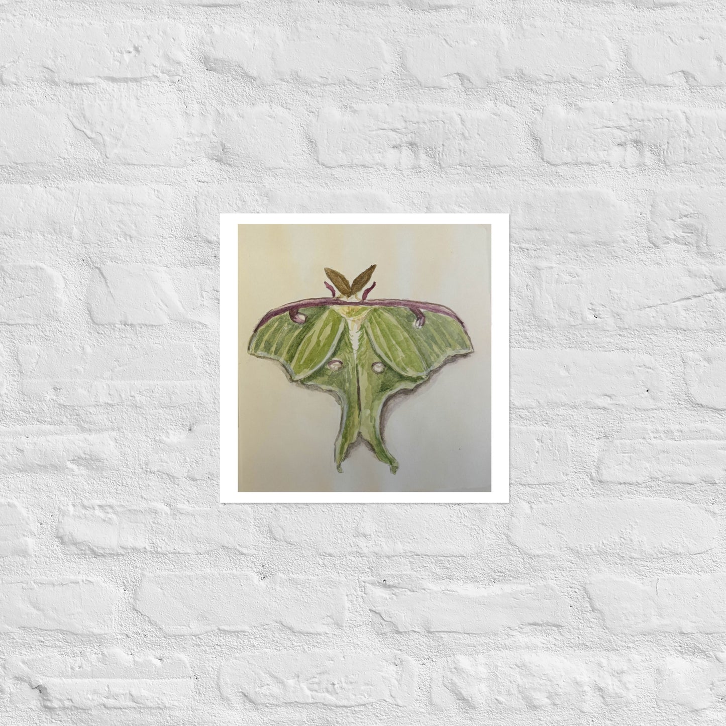 Product mockup of a watercolor painting print that depicts a green moth against a white background