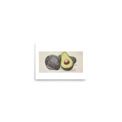Illustration of an avocado on a white background